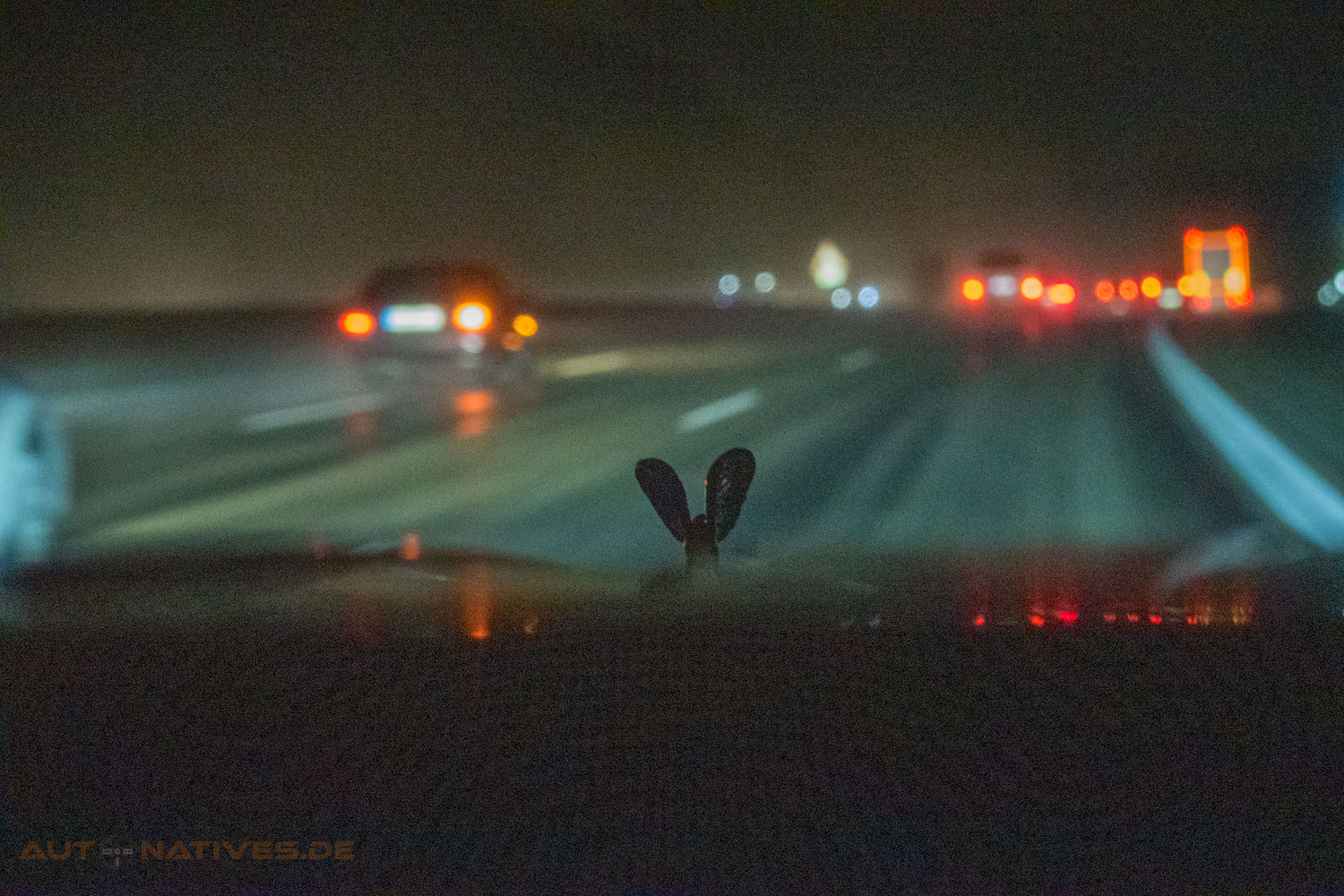 Spirit of Ecstasy unterwegs